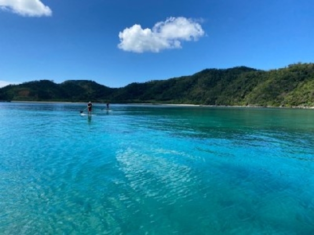 ����ȊC�֊e��c�A�[�����C���m����T��_�����C���m