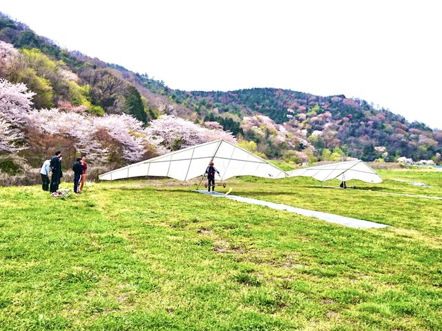 ���s�G�A�[�X�|�[�c