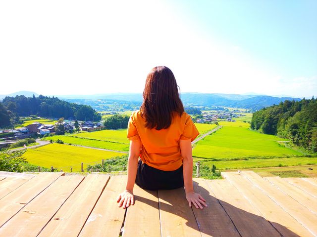 �򕌊ό��_���@���񂿂��ӂ��[��