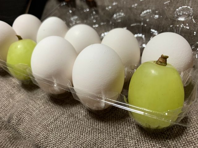 �򕌊ό��_���@���񂿂��ӂ��[��