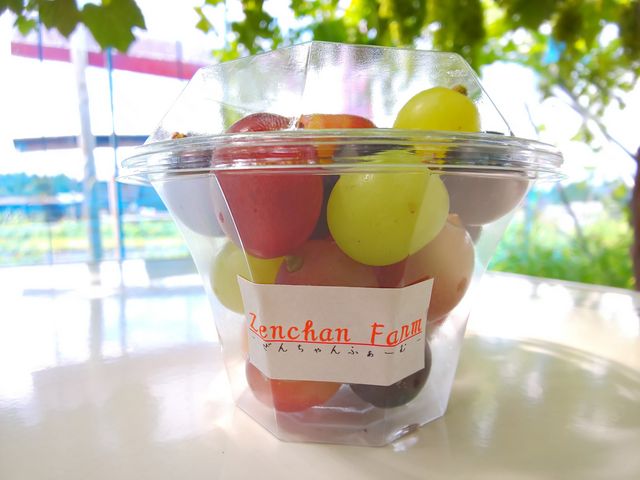 �򕌊ό��_���@���񂿂��ӂ��[��