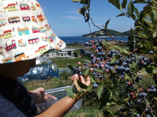 �C��w�i�Ɏ��n��_�݂炢�K�[�f���t�@�[��