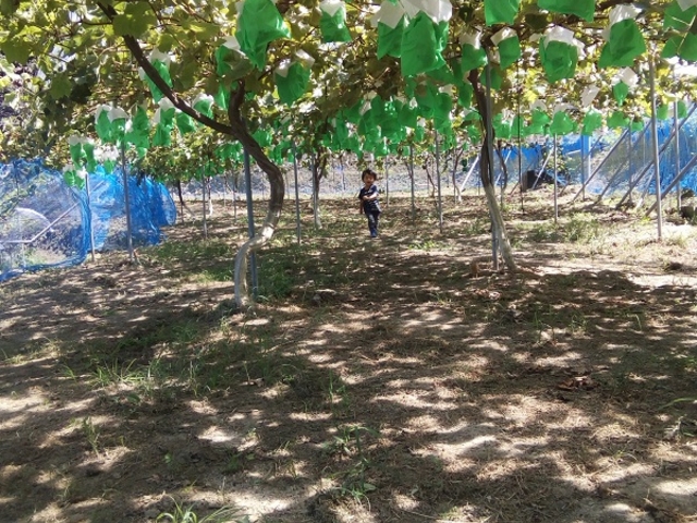 ���������Ԃǂ���T���đ�����܂��B_�݂炢�K�[�f���t�@�[��