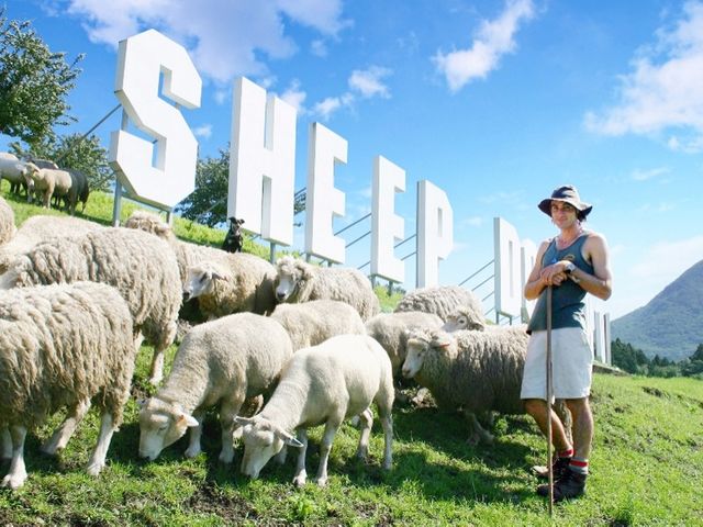 �ɍ��ۃO���[���q��@�Ԃ�5��_����h�@�ˉz�������q