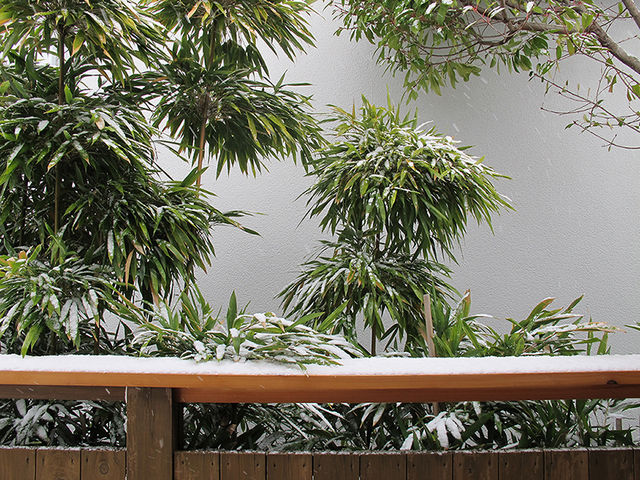 �N���X�`�B�[�i�E�}�[���̃J�X�e������