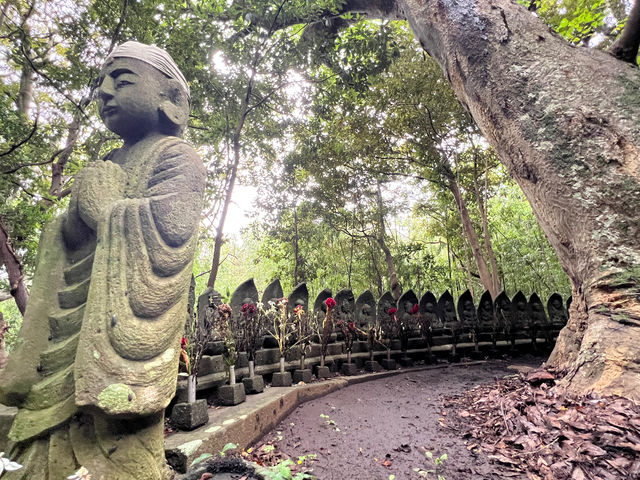 ���n�h���؊≮���񔪏\���Ε��ł��B
�����ɂ͊C�I���Ղɖ��R���������
�W���̔O����Ƃ��Ă��Ɠ��̕��͋C�����鏊�ł��B_SADO�O�l�Y�K�C�h