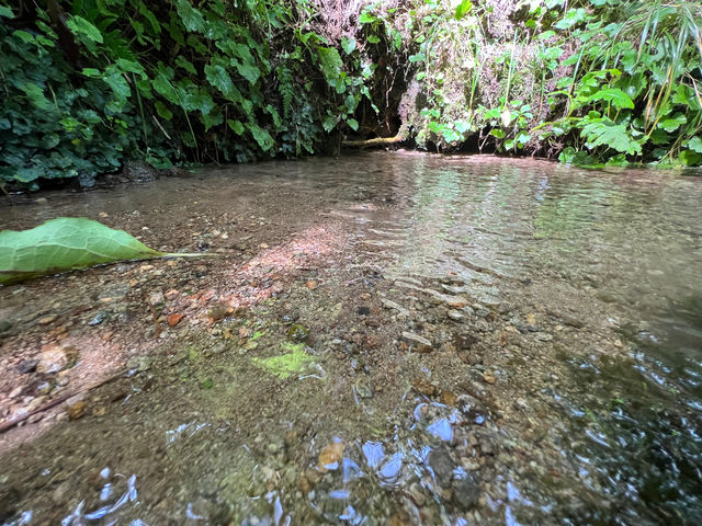 �R���R���Ɛ�N���Ƃ͂��̎�
�k�����ō��ł��B�₽�[��^_^
�����A�N��������܂��y�����ł����_SADO�O�l�Y�K�C�h