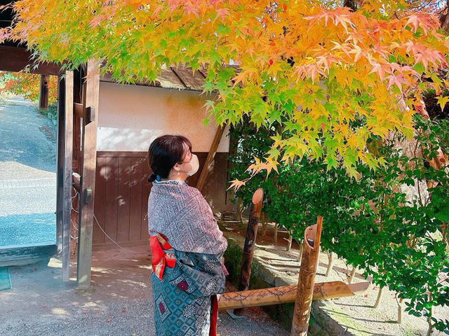 �ނ炳����