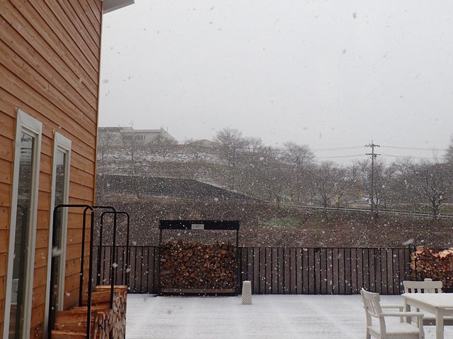 �A�E�g�h�A�d�X�g�[�u�V���b�v �R�̉�