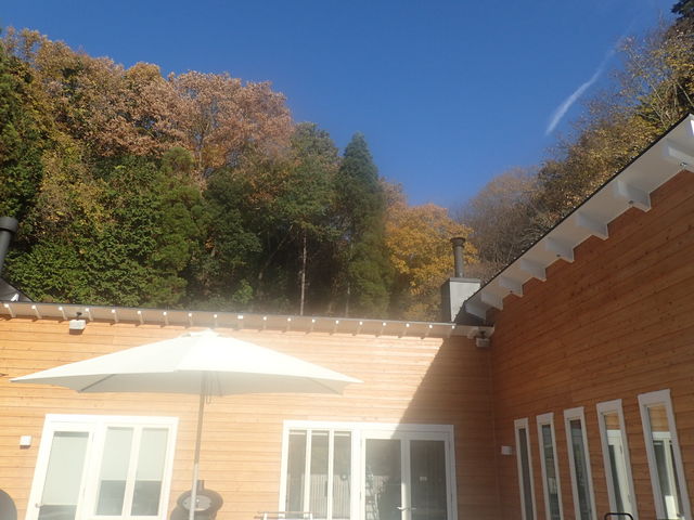 �A�E�g�h�A�d�X�g�[�u�V���b�v �R�̉�