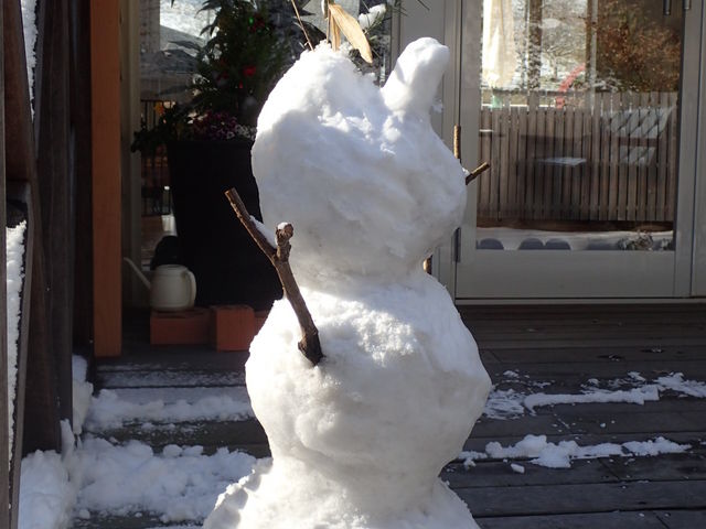 �A�E�g�h�A�d�X�g�[�u�V���b�v �R�̉�