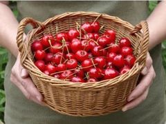 フルーツワイナリーエスプリの写真1