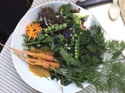 p_CXtB[huXƔ̊wZv̎ʐ^4