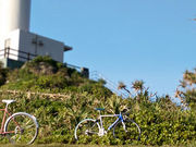 Ί_[hoCN^Pottari̎ʐ^2