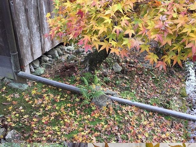 �Ƃ��Ԃ����[�N�X�y�[�X