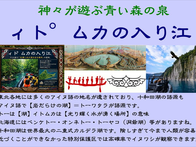 �C�g���J�̓���]�ɂ������Ƃ��ł��܂��B_�\�a�c�΃J�k�[�Z���^�[