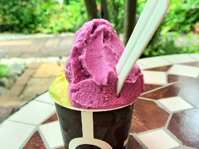 �G���E�v�����^��