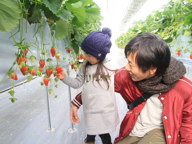 �i�K�V�}�t�@�[���@��������