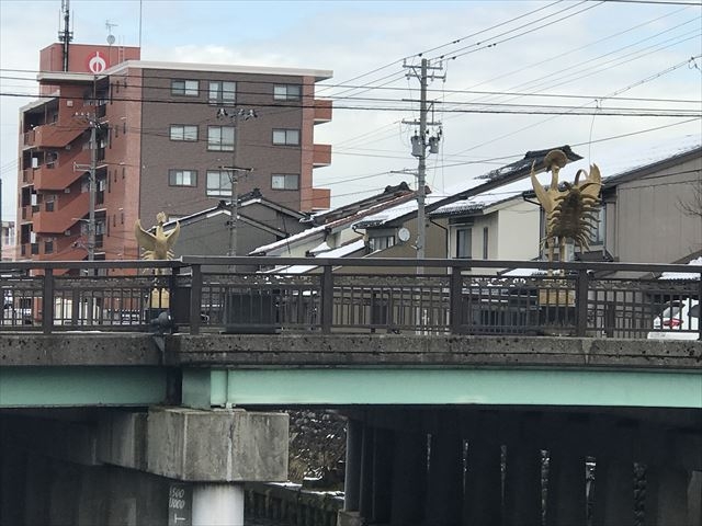 KANAYA���Ӂ@�P��_�j�`�m�`�x�`