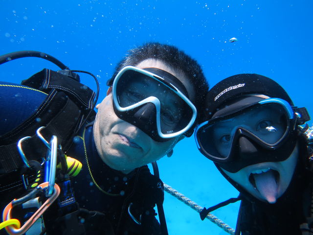 ���͂悤�_�C�r���O�X�N�[��