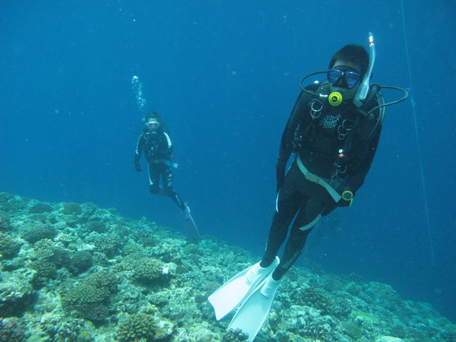 ���͂悤�_�C�r���O�X�N�[��