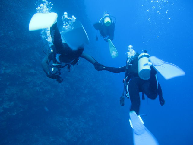 ���͂悤�_�C�r���O�X�N�[��