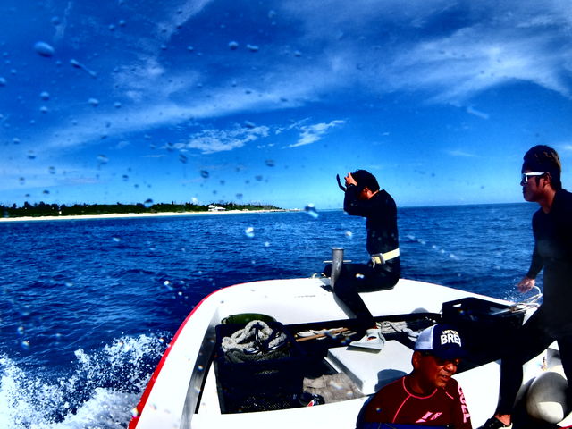 ���͂悤�_�C�r���O�X�N�[��