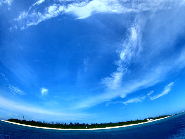 ���͂悤�_�C�r���O�X�N�[��