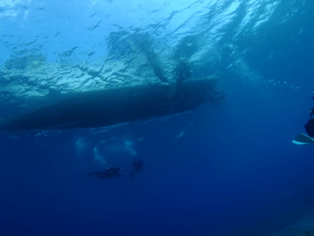 ���͂悤�_�C�r���O�X�N�[��