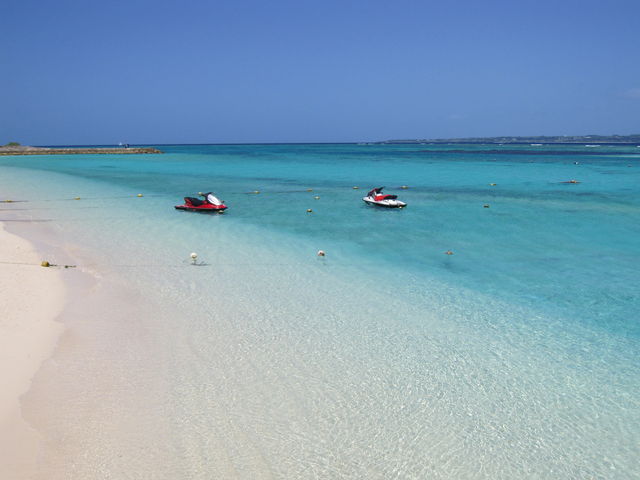 ���͂悤�_�C�r���O�X�N�[��