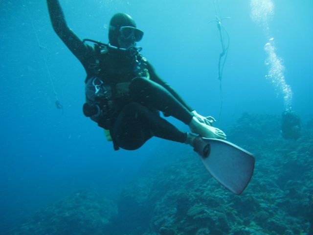 ���͂悤�_�C�r���O�X�N�[��