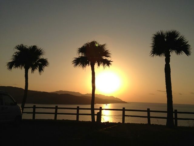 �~�b�h�i�C�g�c�A�[����