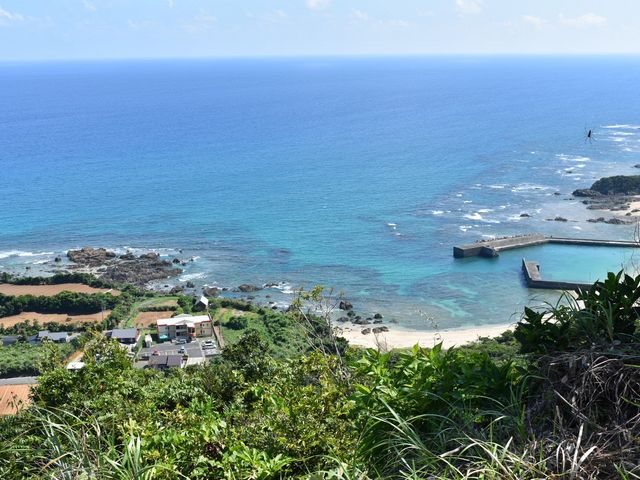 �~�b�h�i�C�g�c�A�[����