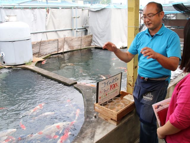 ���{���̋����[�~�������ɁI_�ޗǔ����c�[���Y��Waikaru