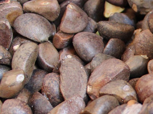 �ւ̂��˃C���[�W_�V�R�f�ނ̂��̂Â���̌��@�ܓ��֕��Y�ف`���Â���E�֖��E���񂱂�݁`