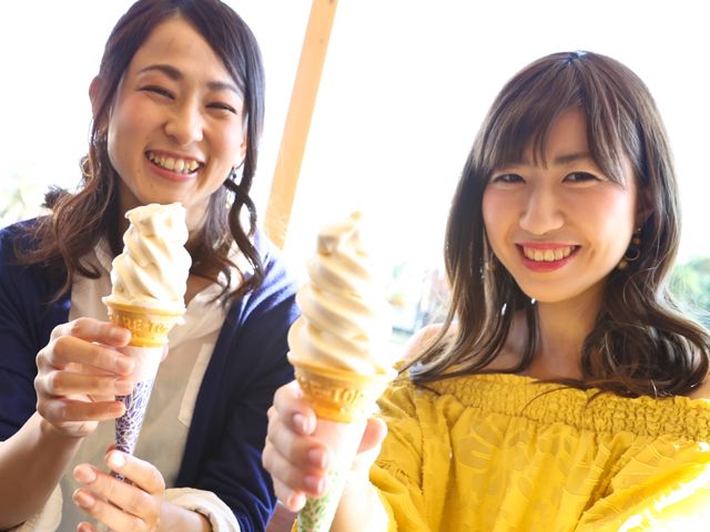 �\�t�g�N���[��������܂����_�V�R�f�ނ̂��̂Â���̌��@�ܓ��֕��Y�ف`���Â���E�֖��E���񂱂�݁`