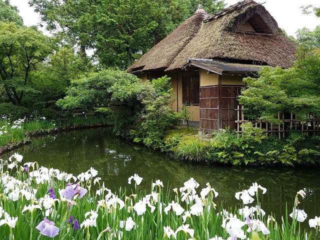 �m�Ⴊ���炩�Ȕ~�{���_�� ���s�ό��^�N�V�[