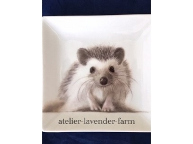 ��G�t�I�[�_�[���{��i_�A�g���G���x���_�[�t�@�[��