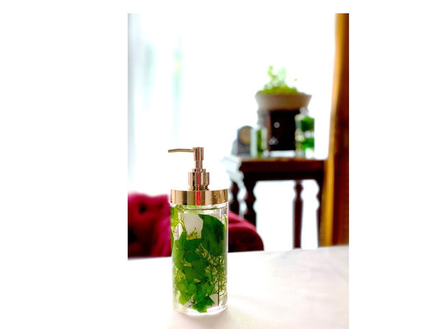 �n�[�o���E���@�n���h�\�[�v�{�g��_�Ó�T�����h���[�Y