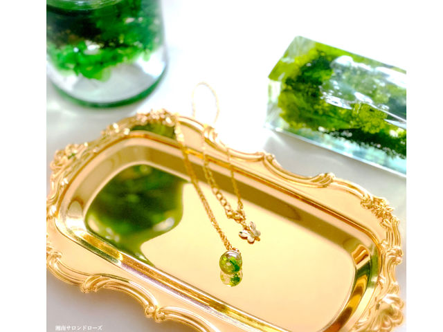 �n�[�o���E���y���_���g�̌�_�Ó�T�����h���[�Y