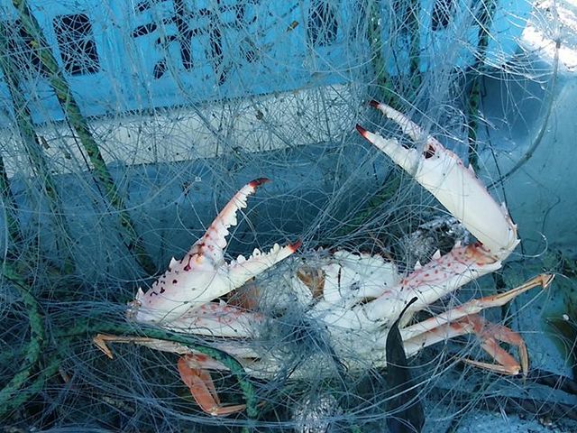 ���Q�O���@�S�Ă��_��