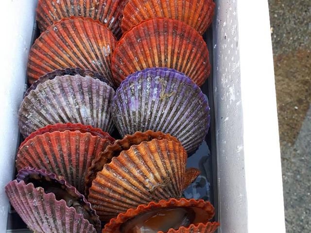 ���Q�O���@�S�Ă��_��