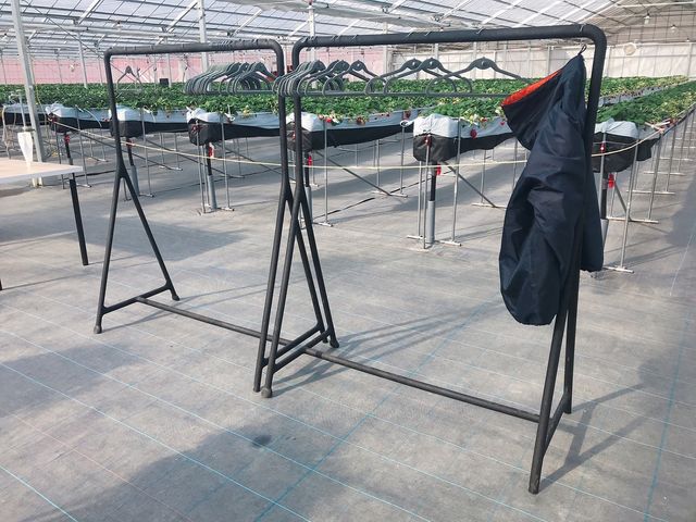 �n�E�X���͒g�����̂ŁA�㒅�̓n���K�[�ɂ����Ă������������y���݂���������_���E�t���[�Y