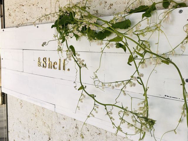 &Shell.