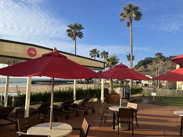 �e���X�i���j_THE ONJUKU terrace