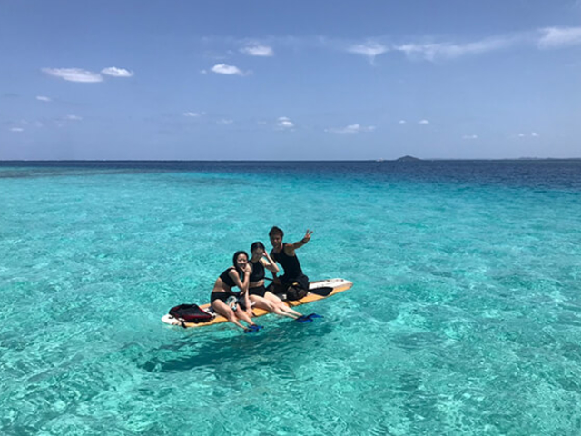 �V�C�A�C���̏����������΃I�v�V������SUP�̌����\�I_�A�N�A�x�[�X