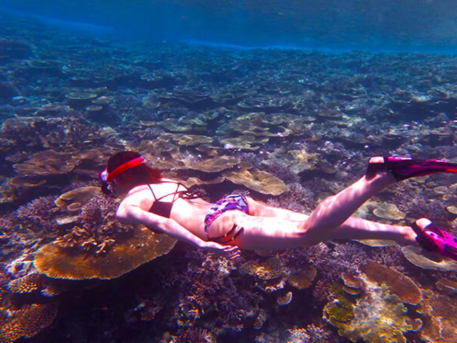 �召100�|�C���g�𒴂���T���S�ʃ|�C���g�Ǝ��ӂɐ�������M�ы������́I�{�Ó��Ő���̐l�C���ւ�l�C�X�|�b�g_�A�N�A�x�[�X