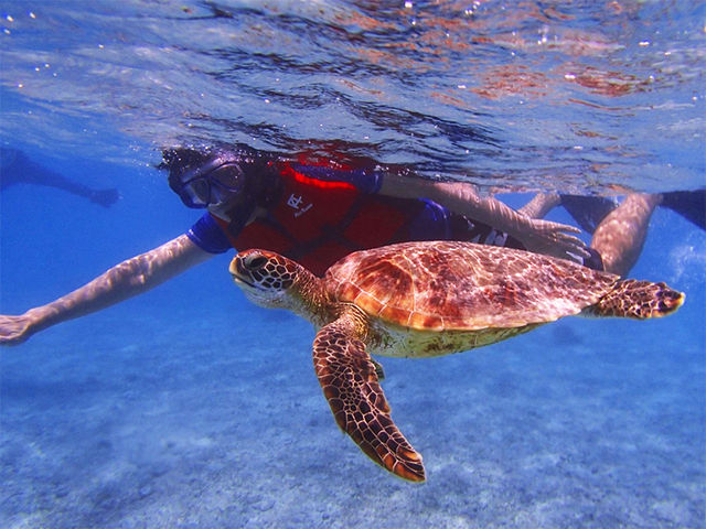 �}�����T�|�[�g�^�C�h�{��