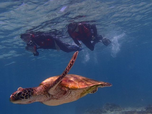 �}�����T�|�[�g�^�C�h�{��