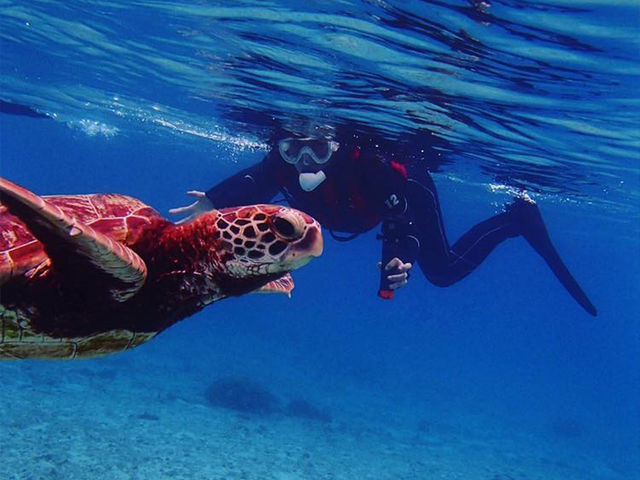 �}�����T�|�[�g�^�C�h�{��